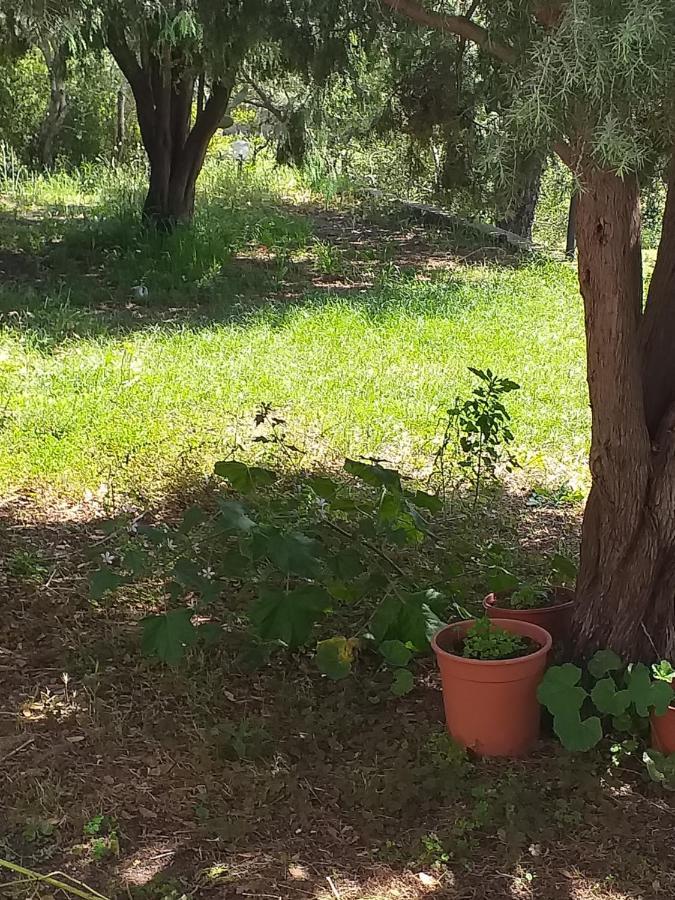B&B Daillu Olbia Zewnętrze zdjęcie