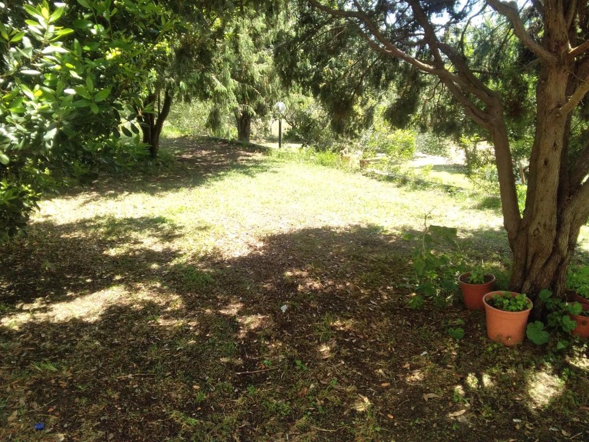 B&B Daillu Olbia Zewnętrze zdjęcie